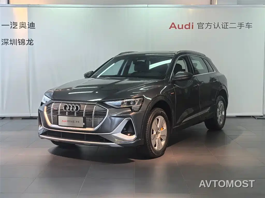 Audi e-tron 2021 50 quattro Luxury — фото 1