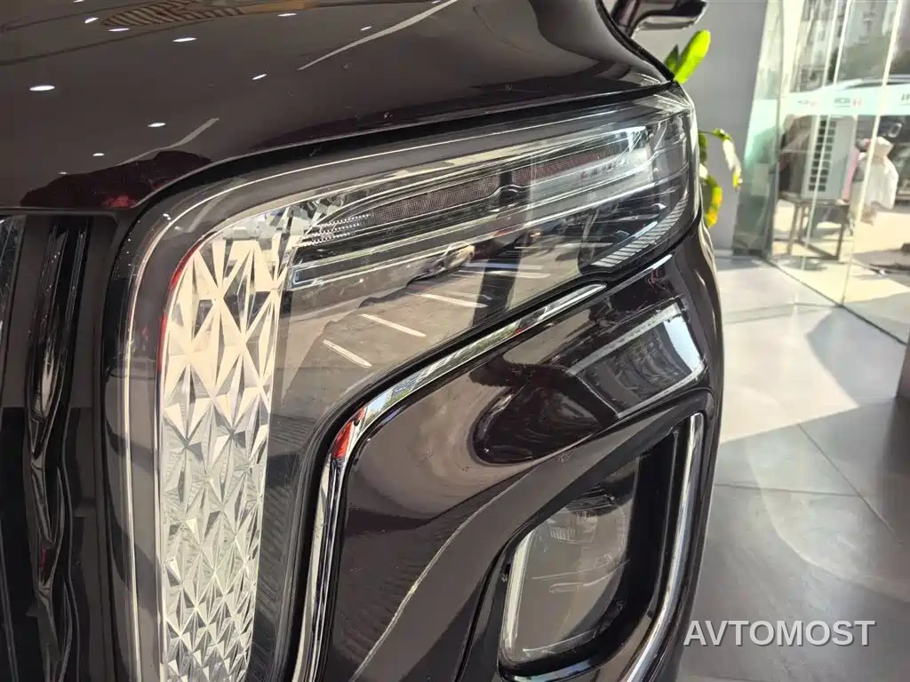 Hongqi HQ9 PHEV 2024 Model 2.0T AWD Business Edition — фото 7
