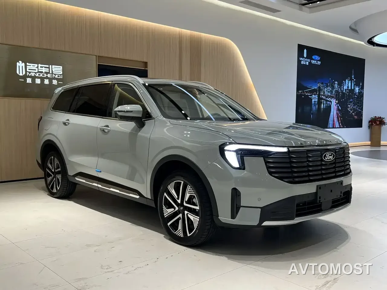 Ford Lingyu New Energy 2025 Model Premium Edition — фото 6