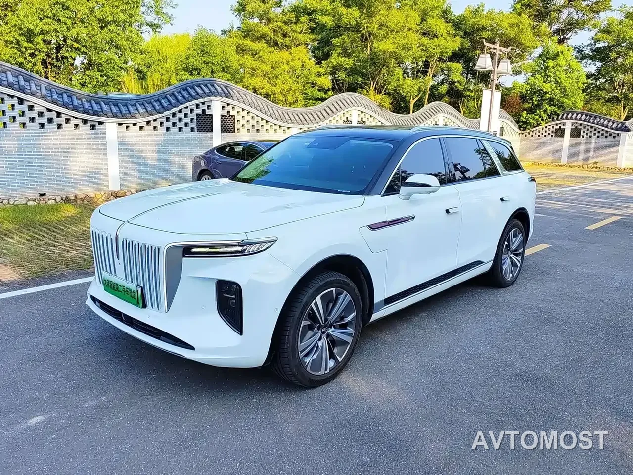 Hongqi E-HS9 2021 460km Flagship Deluxe 7-seater — фото 1