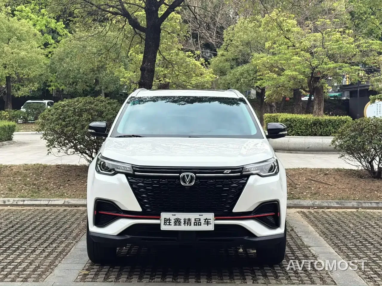 Changan CS55 PLUS 2022 Blue Whale Edition 1.5T Manual Luxury — фото 2