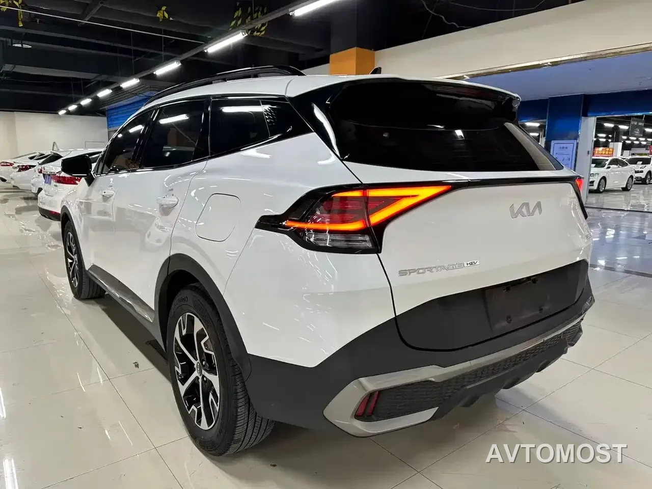 Kia Sportage 2023 2.0L HEV 2WD Premium Edition — фото 8