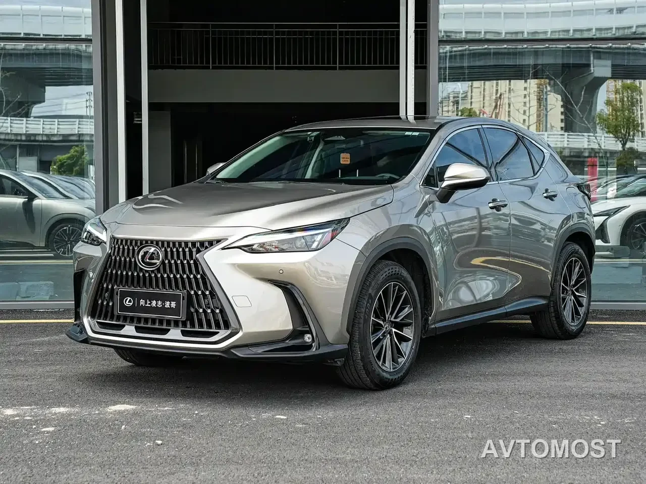 Lexus NX New Energy 2022 400h+ Joy Edition — фото 1