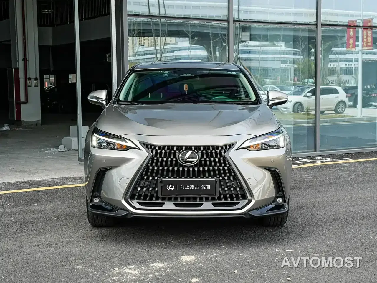 Lexus NX New Energy 2022 400h+ Joy Edition — фото 2