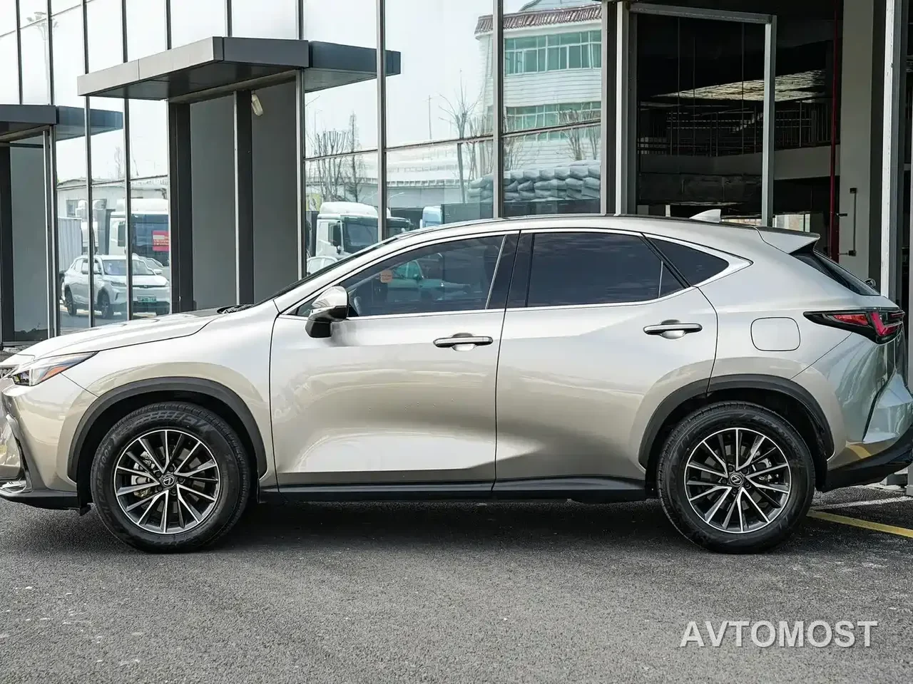 Lexus NX New Energy 2022 400h+ Joy Edition — фото 6