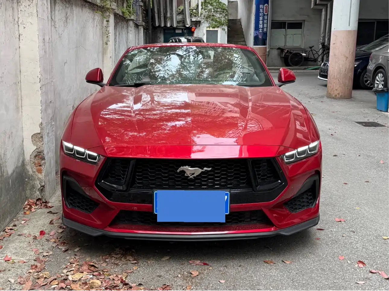Ford Mustang 2024 2.3T EcoBoost Convertible Sport Edition — фото 2