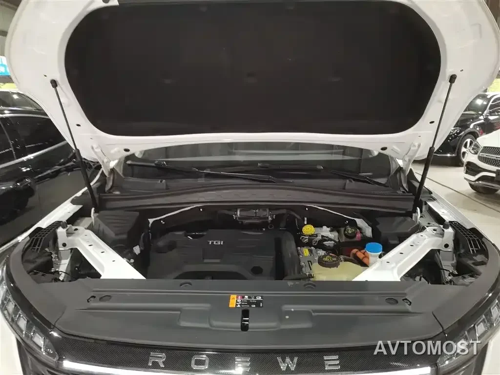 Roewe RX5 eMAX 2022 1.5T PHEV Fearless Premium Edition — фото 19