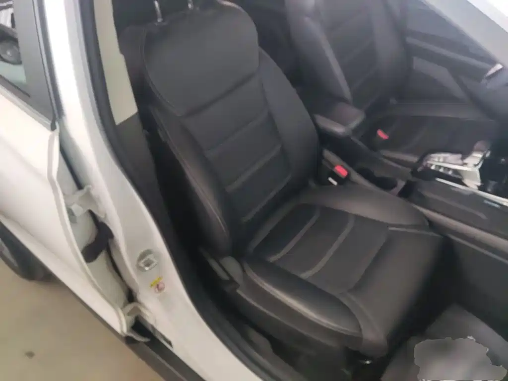 BYD Yuan New Energy 2019 EV535 High Energy Navigation Edition — фото 20
