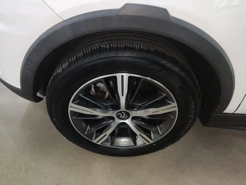 BYD Yuan New Energy 2019 EV535 High Energy Navigation Edition — фото 25