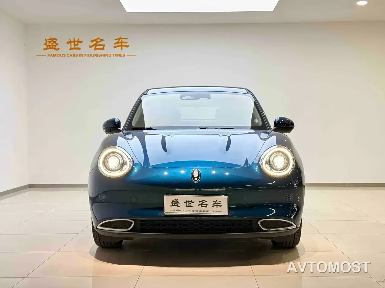 Ora Good Cat 2021 400km Standard Range Athena Edition (LFP) — фото 3