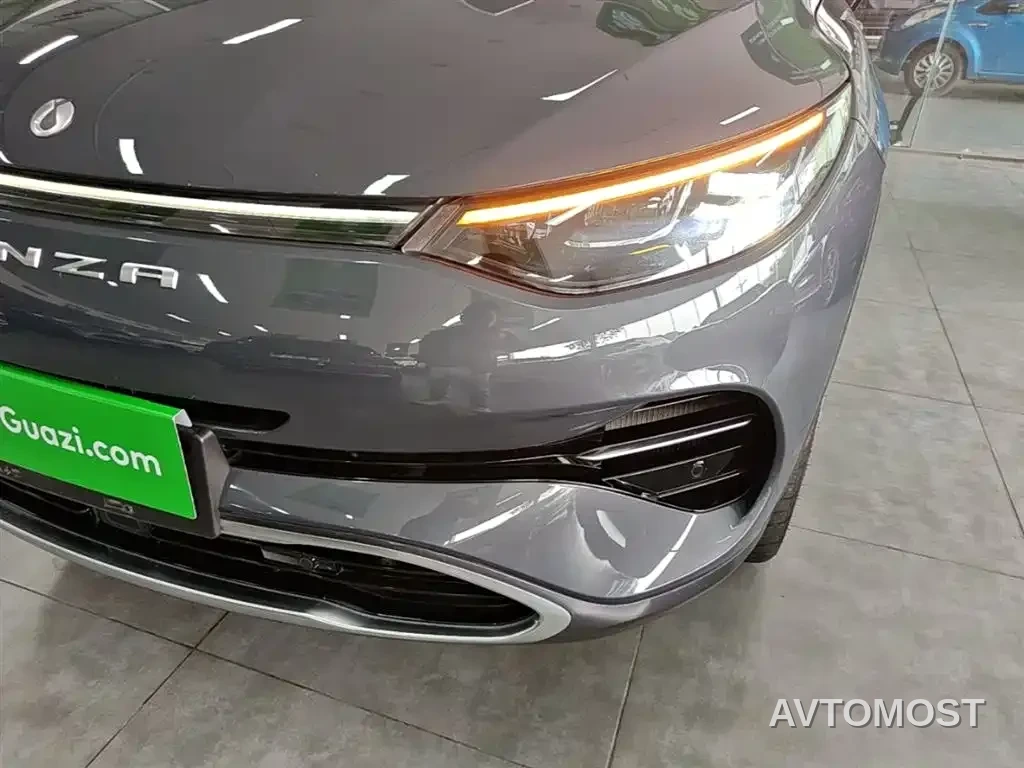 Denza X 2020 PHEV Sport Edition — фото 21