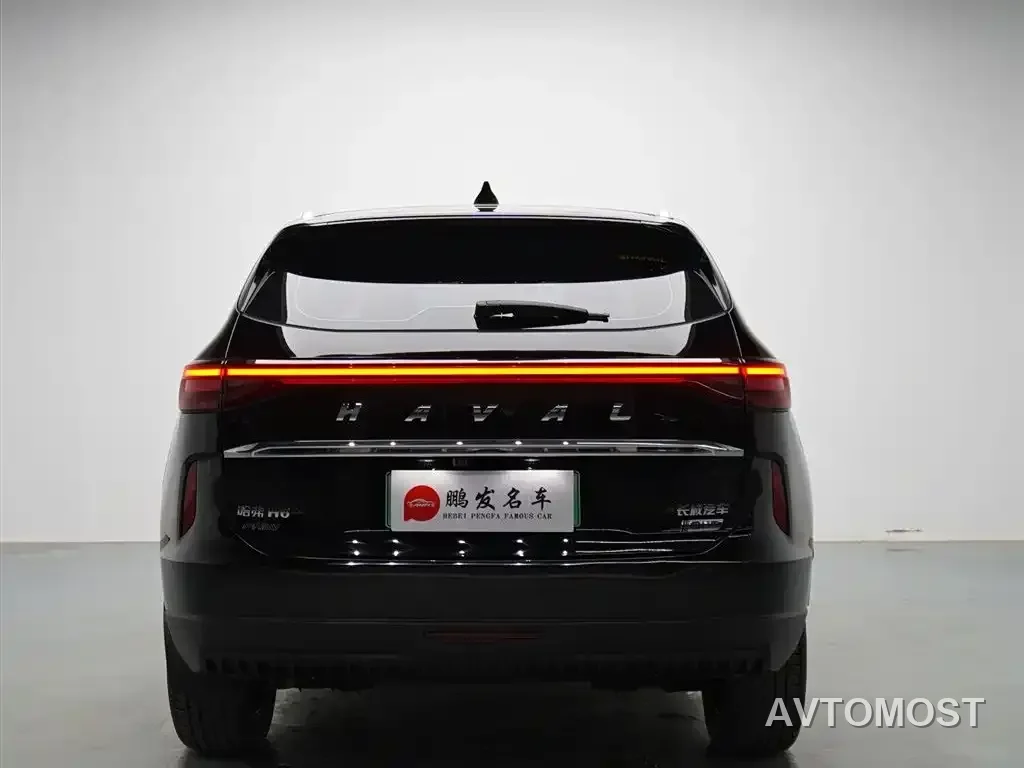 Haval H6 New Energy 2023 DHT-PHEV 110KM Smooth Edition — фото 13