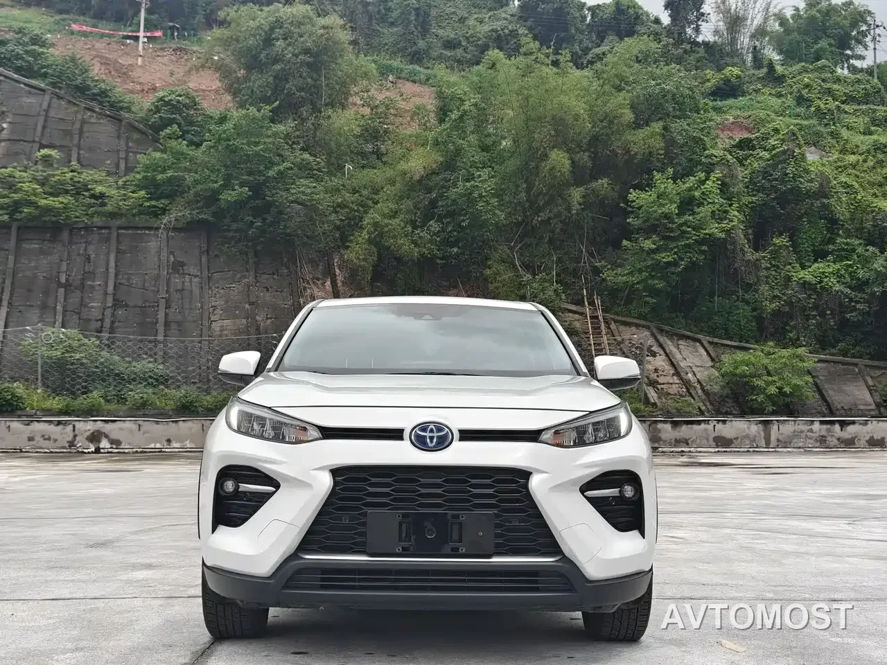 Toyota Wildlander 2020 Dual Engine 2.5L E-CVT FWD Luxury — фото 2