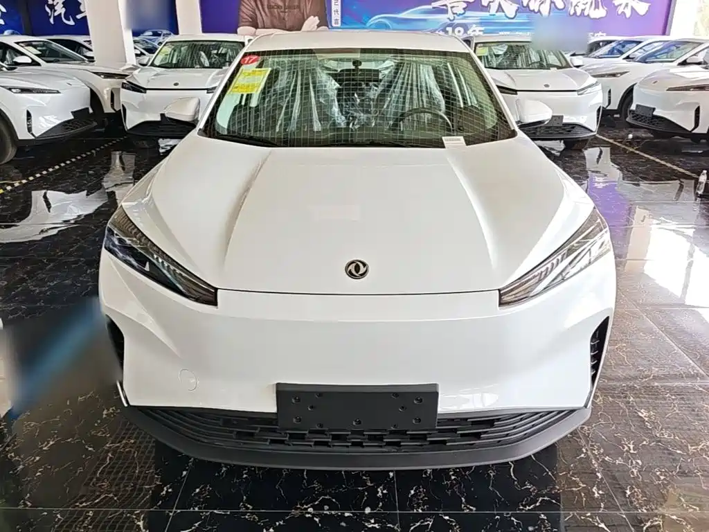 Dongfeng Aeolus SKY EV01 2025 Model 530km AIR Elite Edition — фото 3