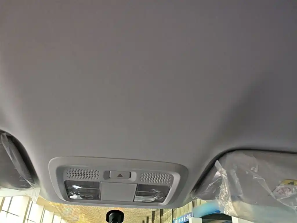 Dongfeng Aeolus SKY EV01 2025 Model 530km AIR Elite Edition — фото 14