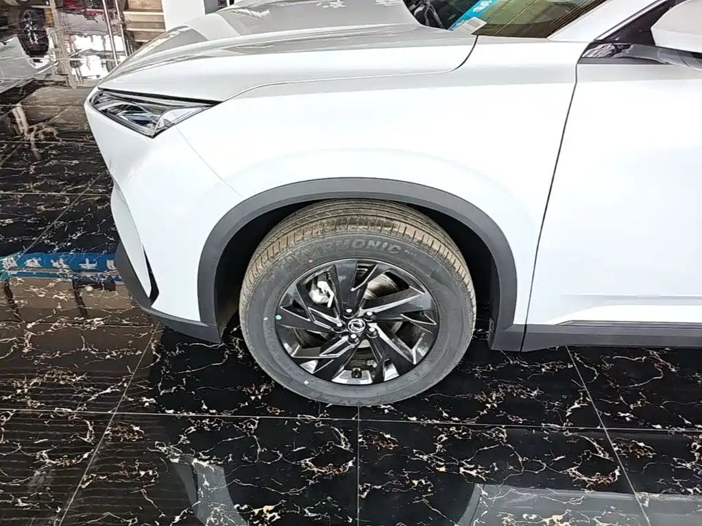 Dongfeng Aeolus SKY EV01 2025 Model 530km AIR Elite Edition — фото 25
