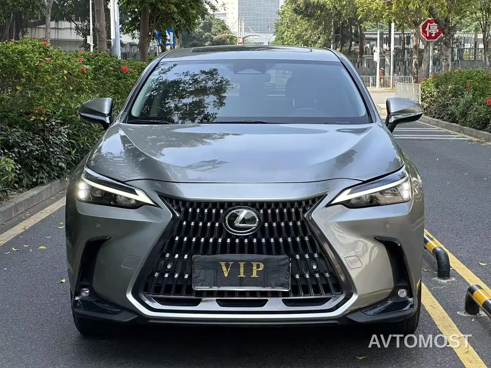 Lexus NX 2023 260 FWD Joy Creation Edition — фото 2