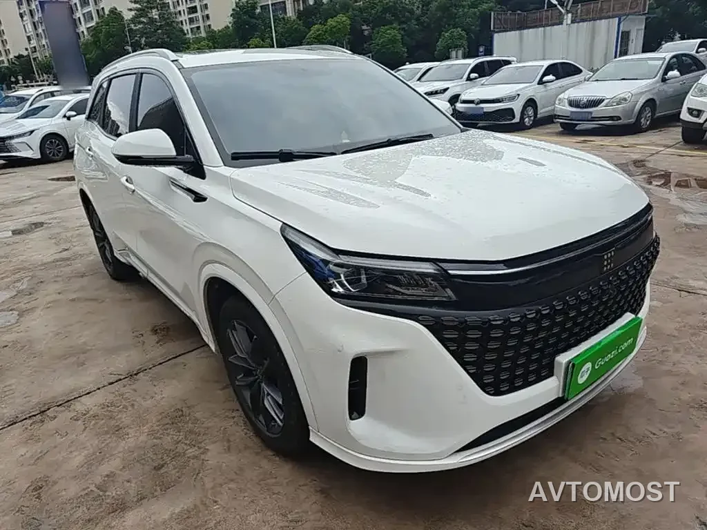 Landian E5 2024 Glory Edition 100KM Premium Type 7-Seater — фото 4