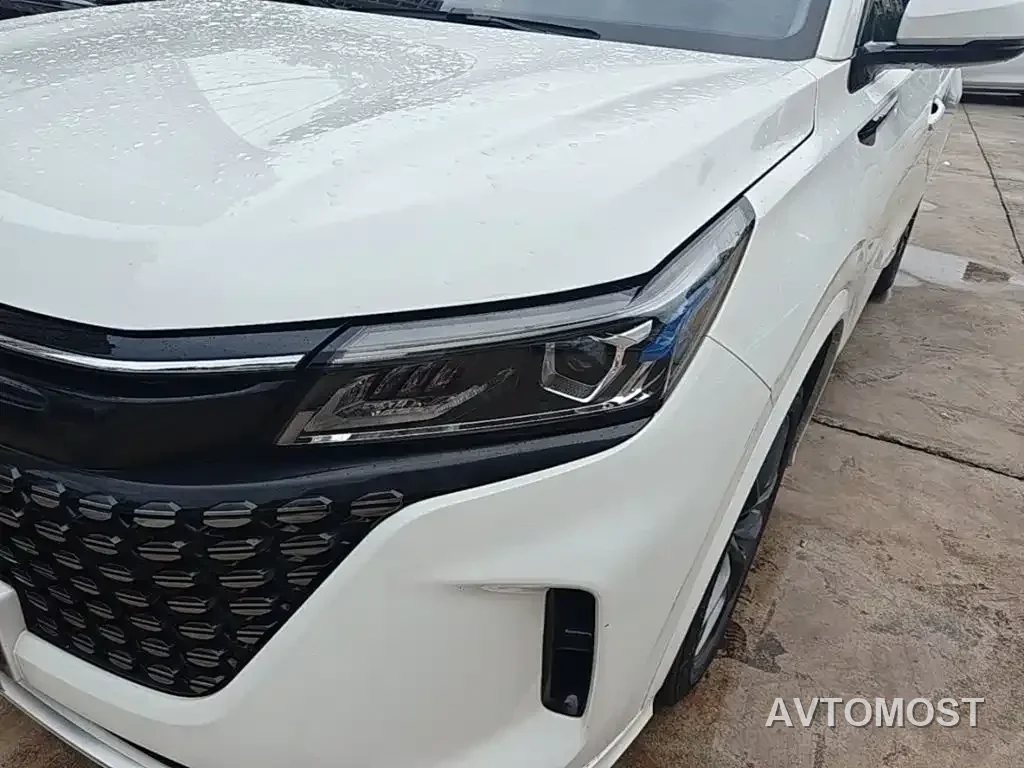 Landian E5 2024 Glory Edition 100KM Premium Type 7-Seater — фото 20