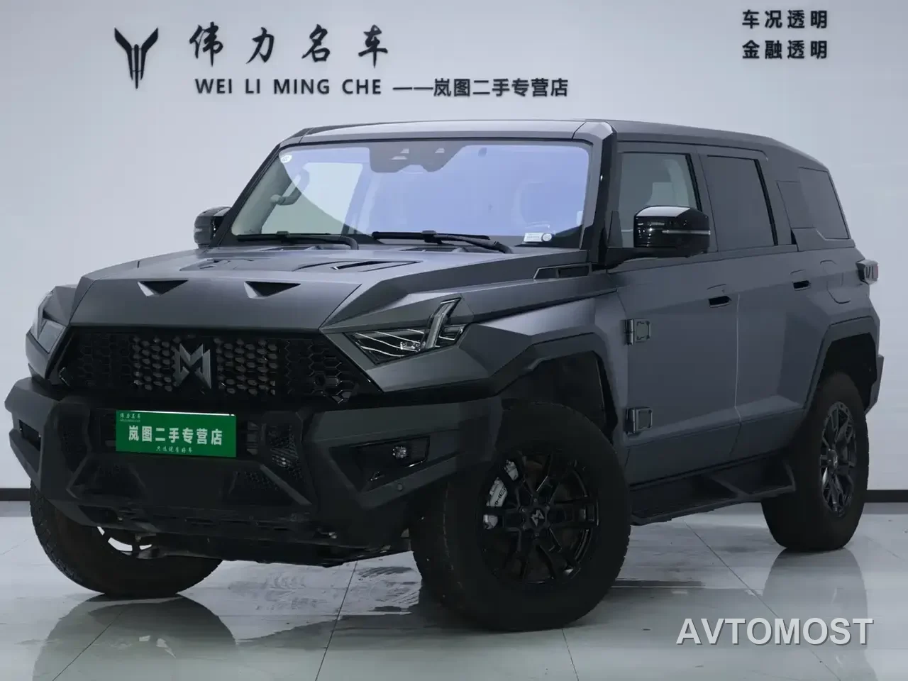 Mengshi 917 2023 Extended Range Base Version — фото 1