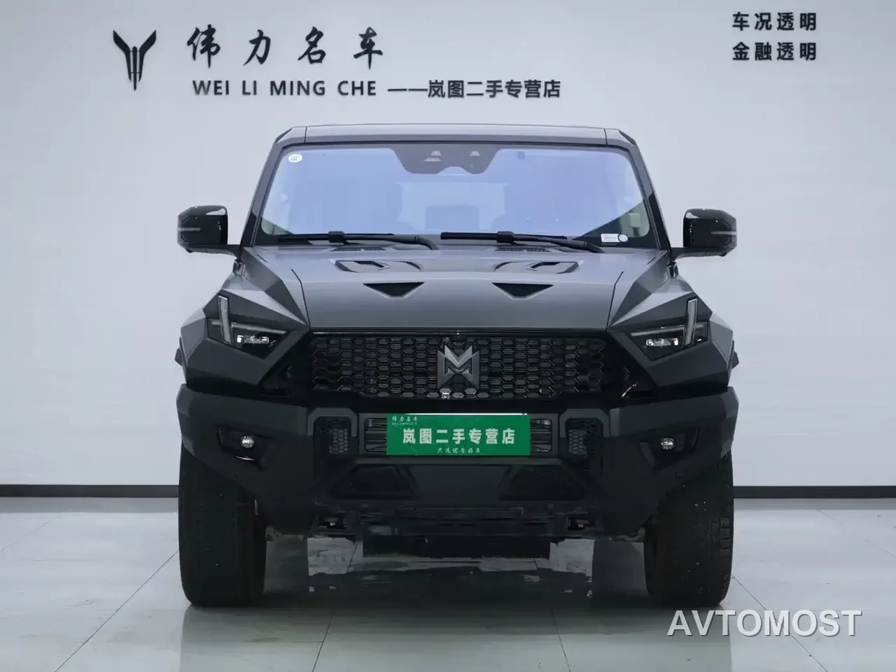 Mengshi 917 2023 Extended Range Base Version — фото 2