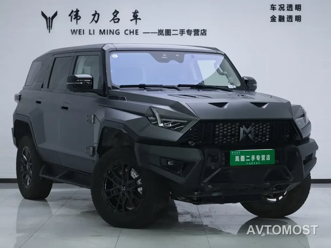 Mengshi 917 2023 Extended Range Base Version — фото 3