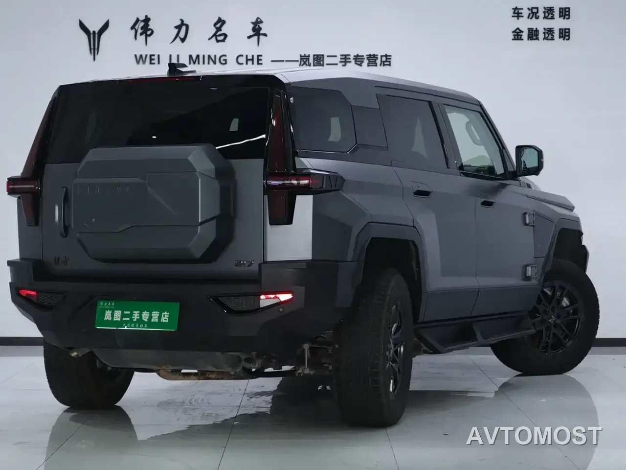 Mengshi 917 2023 Extended Range Base Version — фото 18