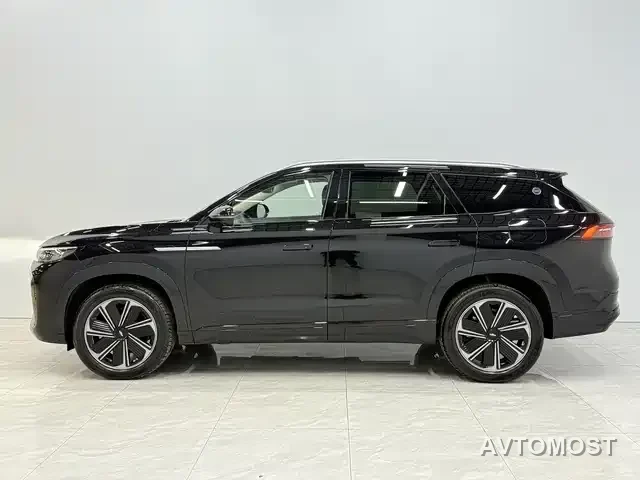 Chery Fengyun T10 2024 210 Luxury Edition — фото 3
