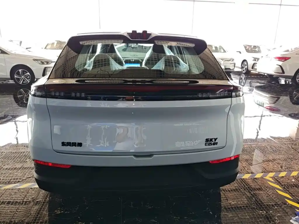 Dongfeng Aeolus SKY EV01 2025 Model 530km AIR Elite Edition — фото 4