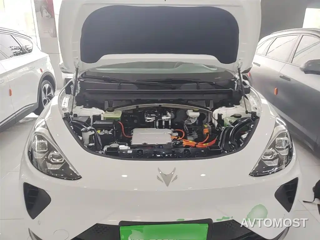 Arcfox Alpha T 2023 Model 480 Forest Edition 175kW — фото 12
