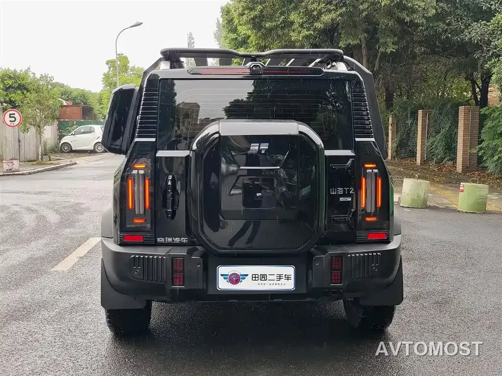 Jetour Shanhai T2 2024 C-DM 129KM Forest Edition — фото 5