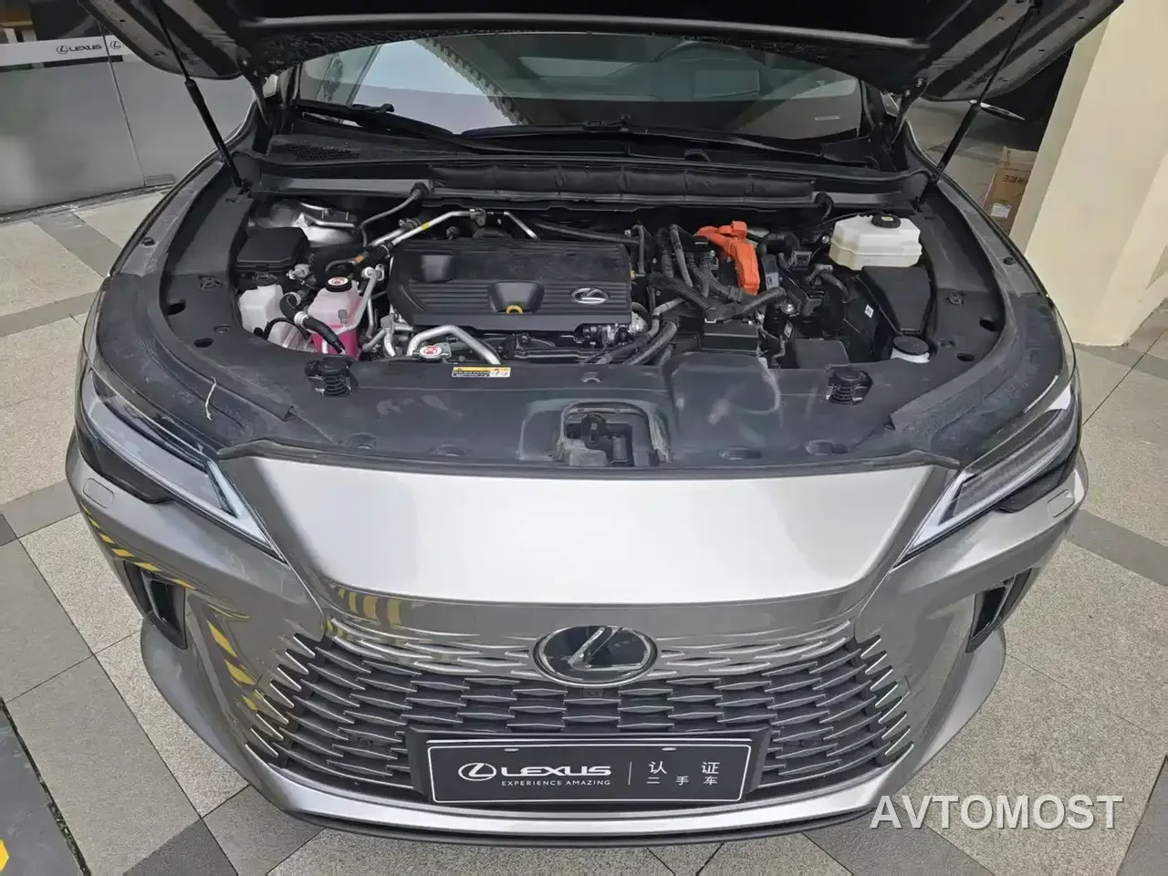 Lexus RX New Energy 2023 450h+ 4WD Enjoyment — фото 10