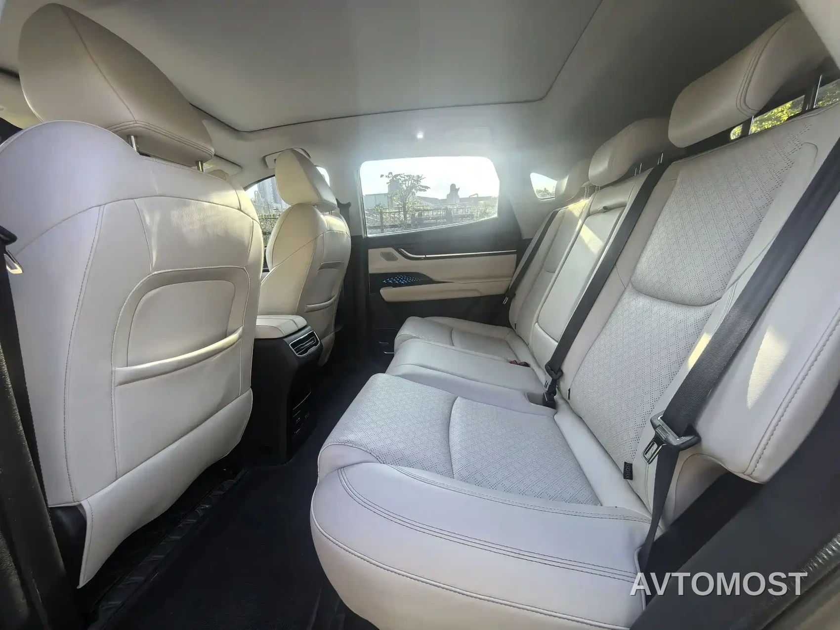 Chery New Energy Big Ant 2020 High Energy Pro — фото 6