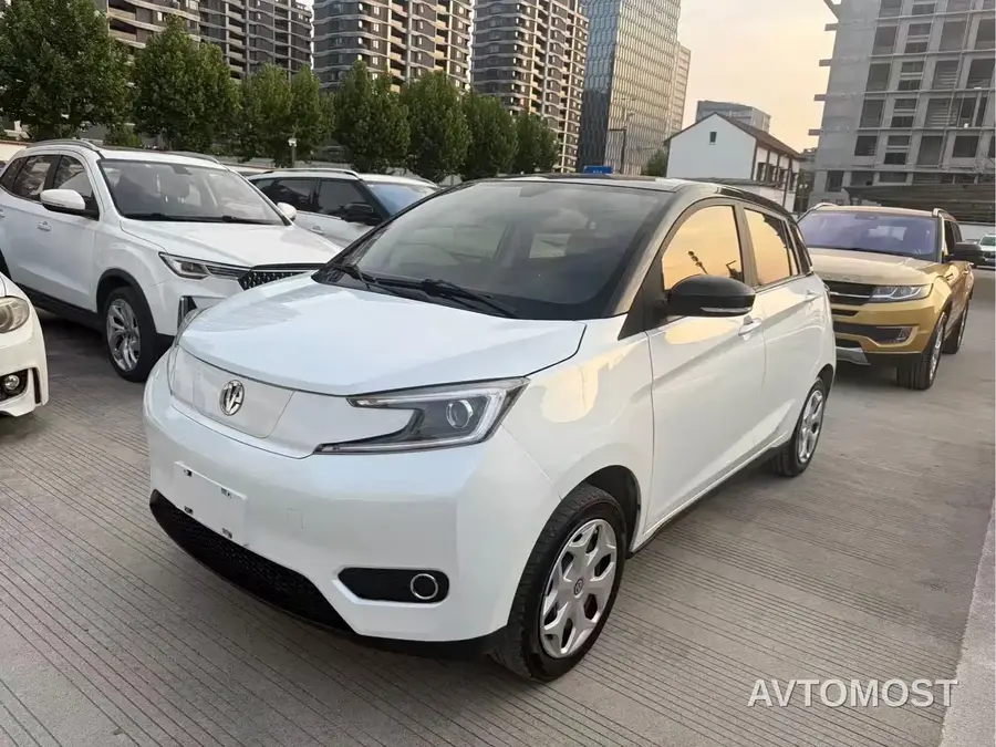 Electric House YOUNG Guang Xiaoxin 2023 302KM Pearl Edition