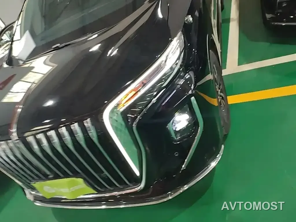 Hongqi HQ9 PHEV 2024 Model 2.0T AWD Business Edition — фото 19