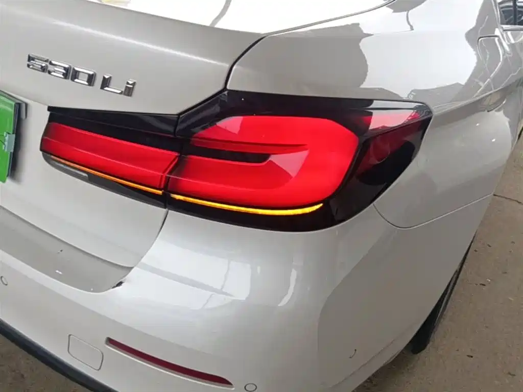 BMW 5 Series 2022 Facelift II 530Li Luxury Trim Premium Package — фото 8
