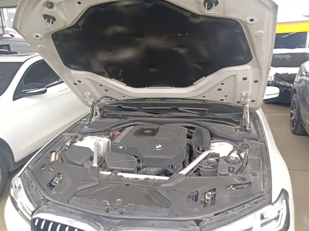 BMW 5 Series 2022 Facelift II 530Li Luxury Trim Premium Package — фото 20