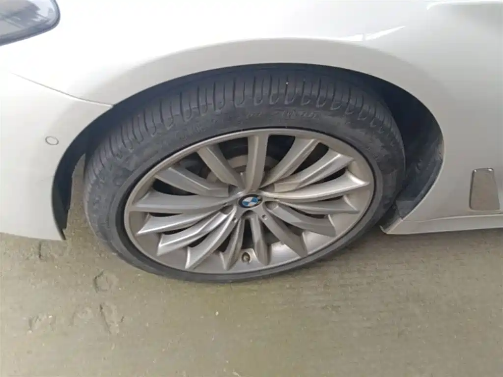 BMW 5 Series 2022 Facelift II 530Li Luxury Trim Premium Package — фото 23