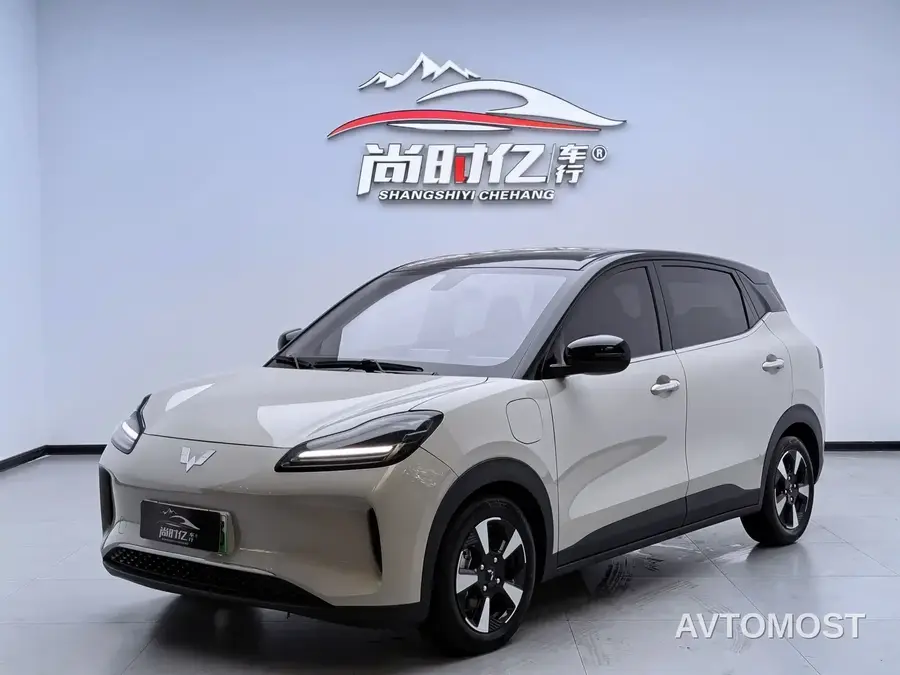 Wuling Binguo PLUS 2024 401km Range 5-seater