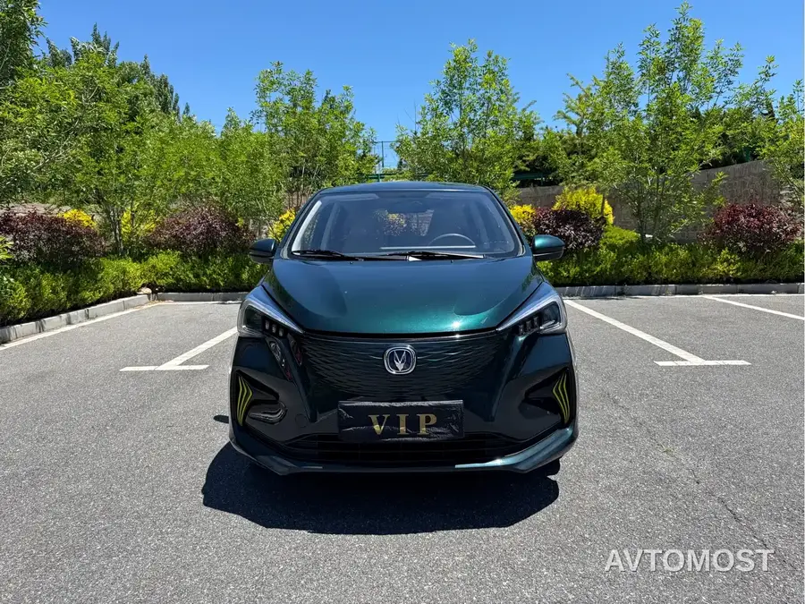 Changan Benben E-Star 2022 Delight Colorful NMC
