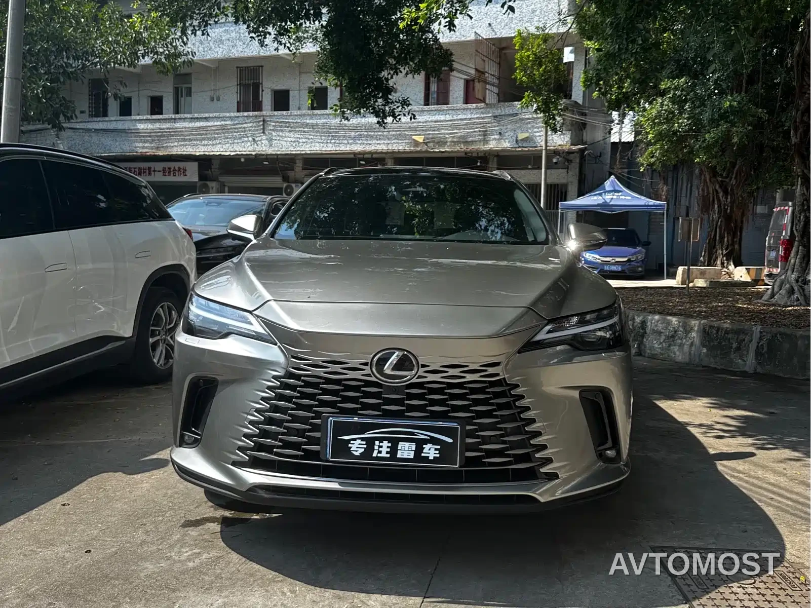 Lexus RX 2023 350h 2WD Comfort Edition — фото 2