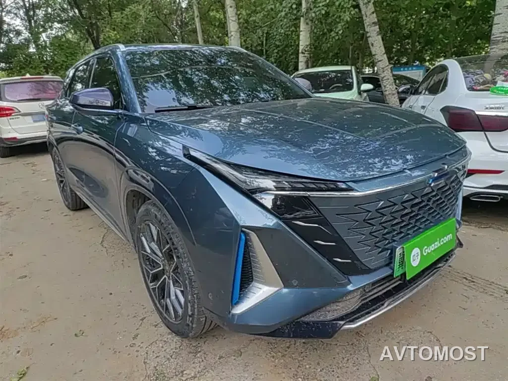 Changan Oshan Z6 EV 2022 Blue Whale iDD 150KM Flagship PLUS Smart Parking Edition — фото 4