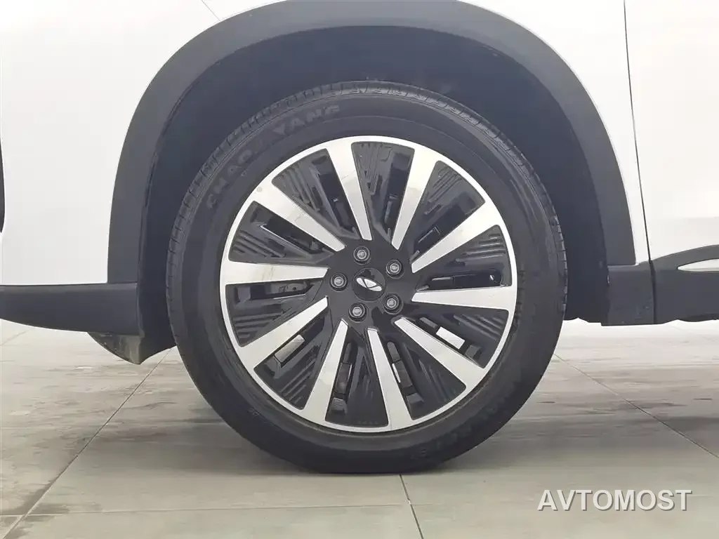 Chery Fengyun T8 2025 1.5T 130km Premium Edition 5-Seater — фото 12