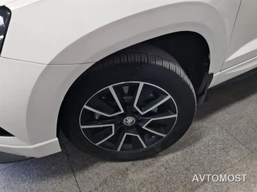 Škoda Karoq 2022 TSI280 Premium Edition — фото 23