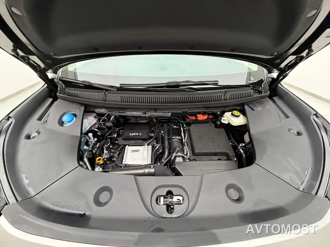BYD M9 2025 Model 1060 Pilot Edition — фото 19
