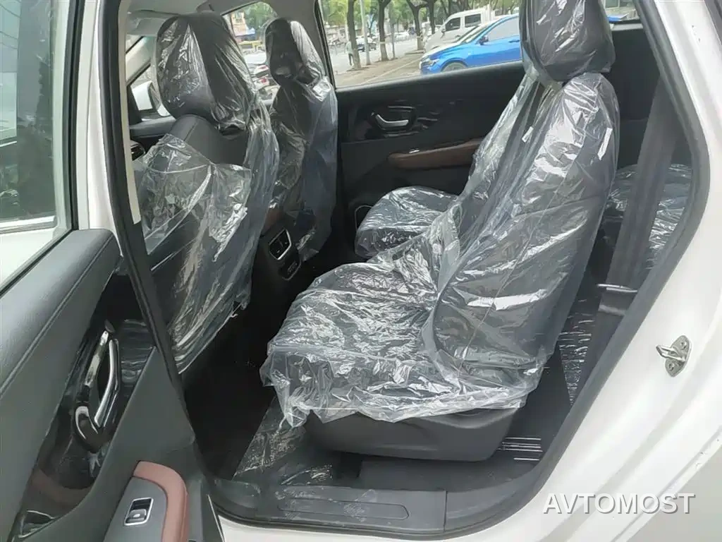 Dayun Yuanzhi M1 2025 Model 7-Seater 490 Standard Edition — фото 16