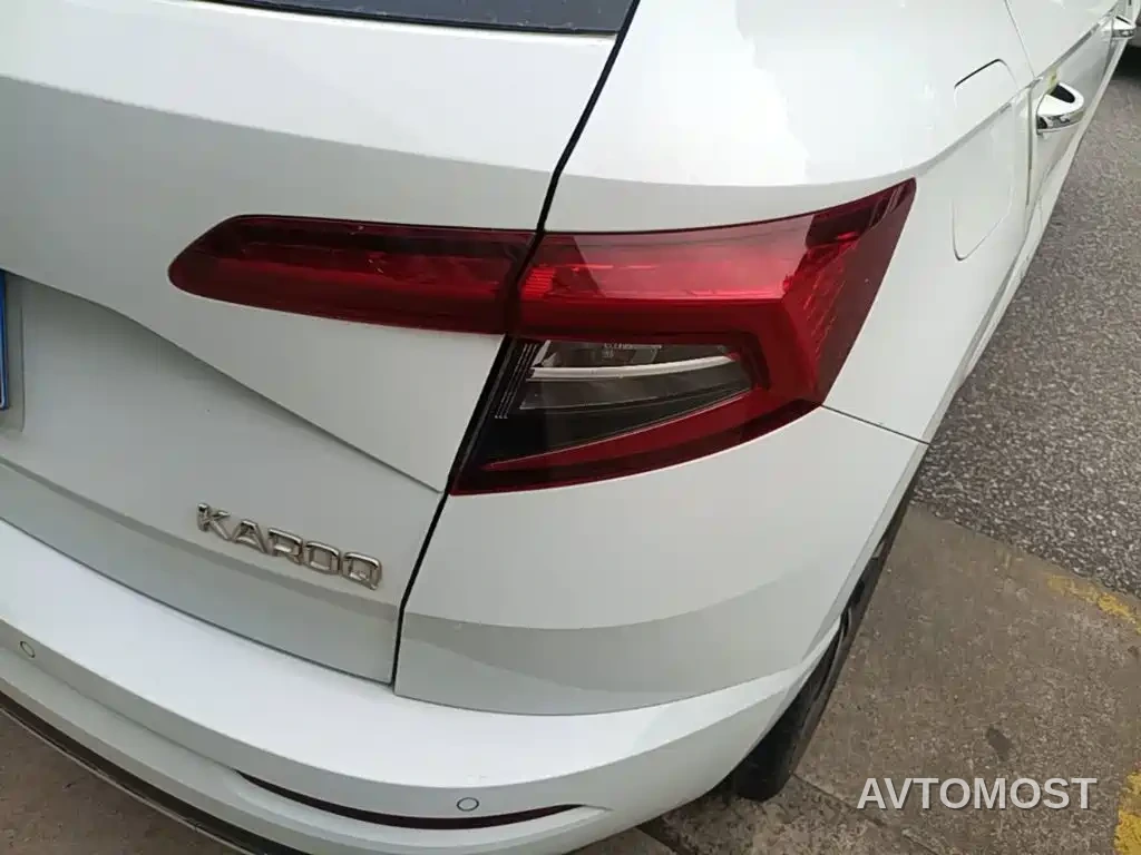 Škoda Karoq 2024 TSI280 Luxury Edition — фото 22
