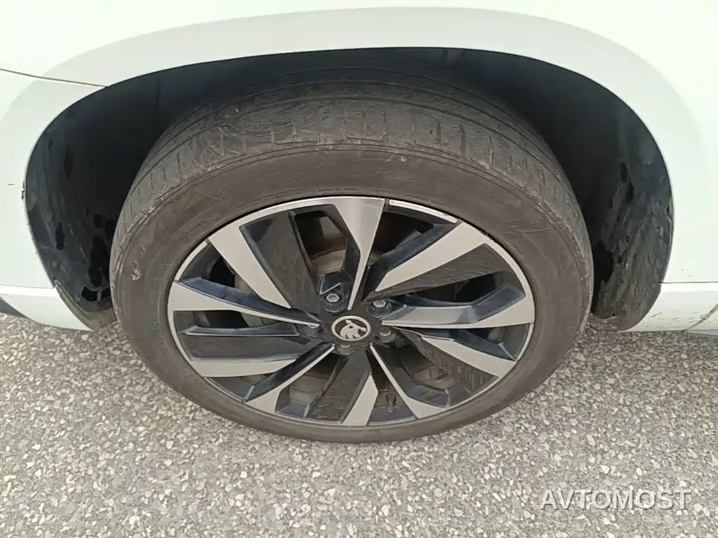Škoda Karoq 2024 TSI280 Luxury Edition — фото 23