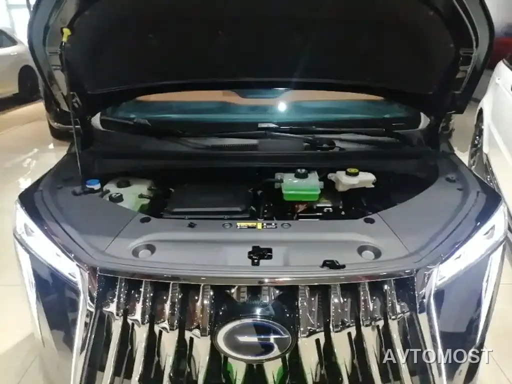 GAC Trumpchi Xiangwang M8 2026 Model Grandmaster Base Version — фото 19