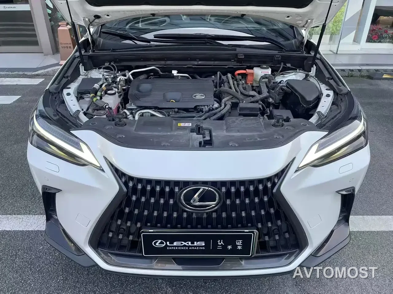 Lexus NX New Energy 2022 400h+ Premium Edition — фото 8